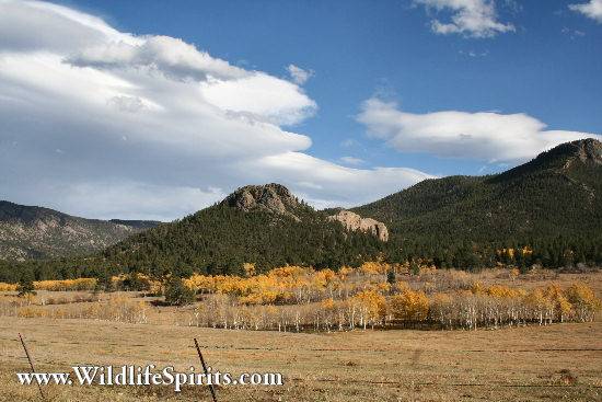 Click Picture to send as an  E-PostCard 56k 550x367